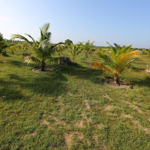 Готель Kayjay Palms Passikudah Екстер'єр фото
